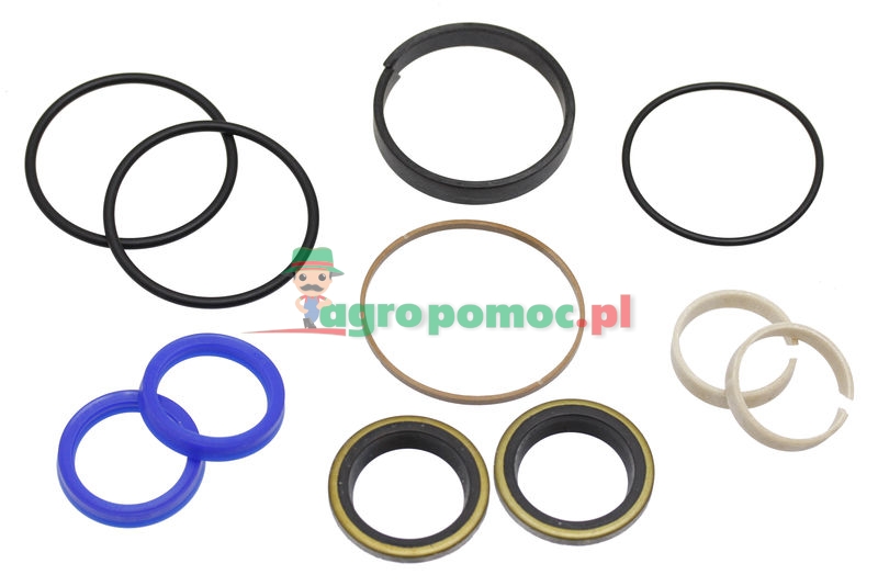 Sealing ring set | 3484317M92 | zdjęcie nr 1