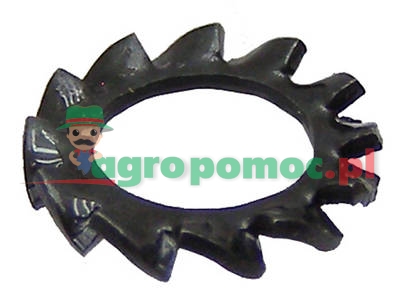 Serrated lock washer | zdjęcie nr 1