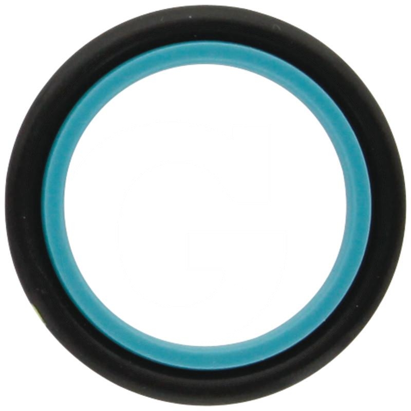 Shaped sealing ring | zdjęcie nr 1