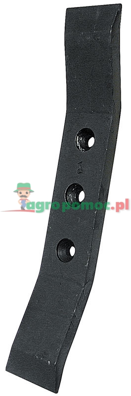 Share | zdjęcie nr 1