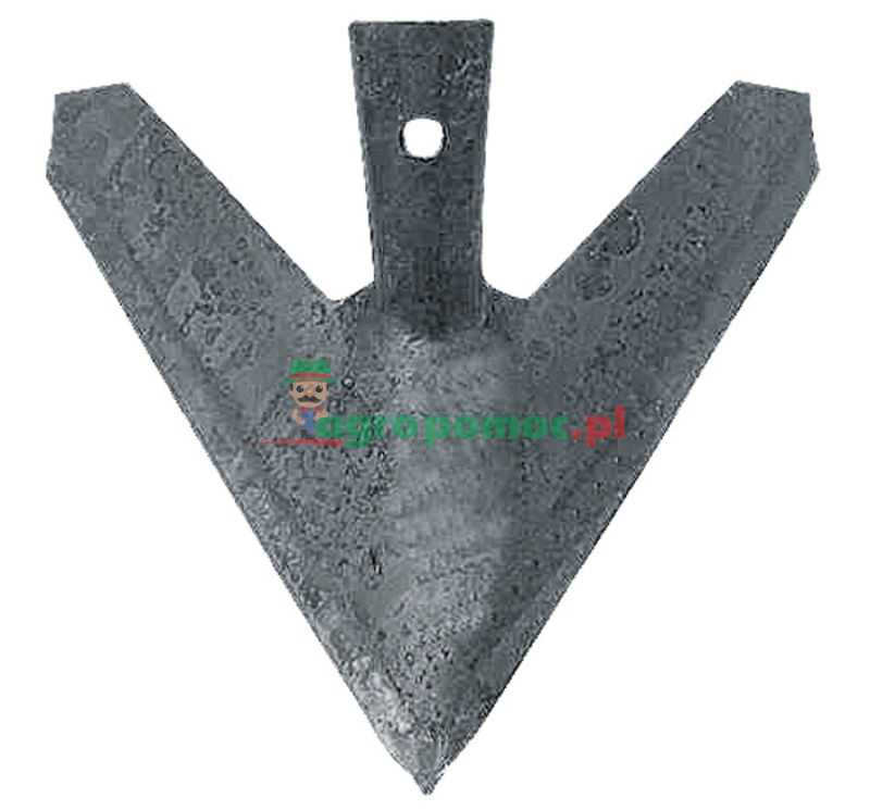 Share | zdjęcie nr 1