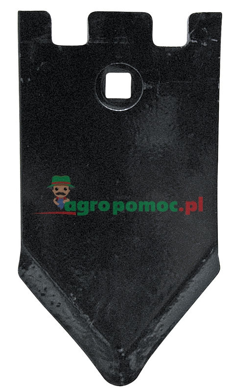 Share point | zdjęcie nr 1