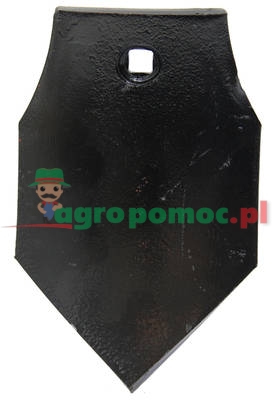 Share point | zdjęcie nr 1