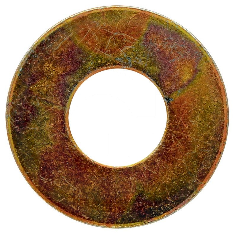 Shim | zdjęcie nr 1