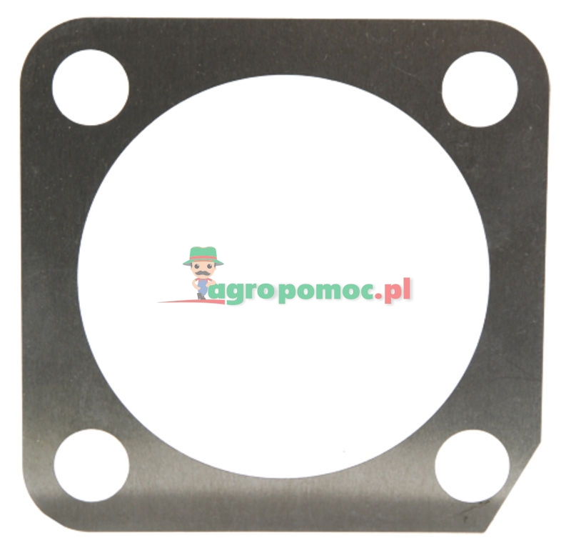 Shim | DANAH2246C, 78810C1 | zdjęcie nr 1