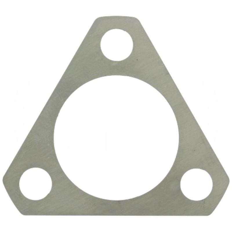 Shim | zdjęcie nr 1