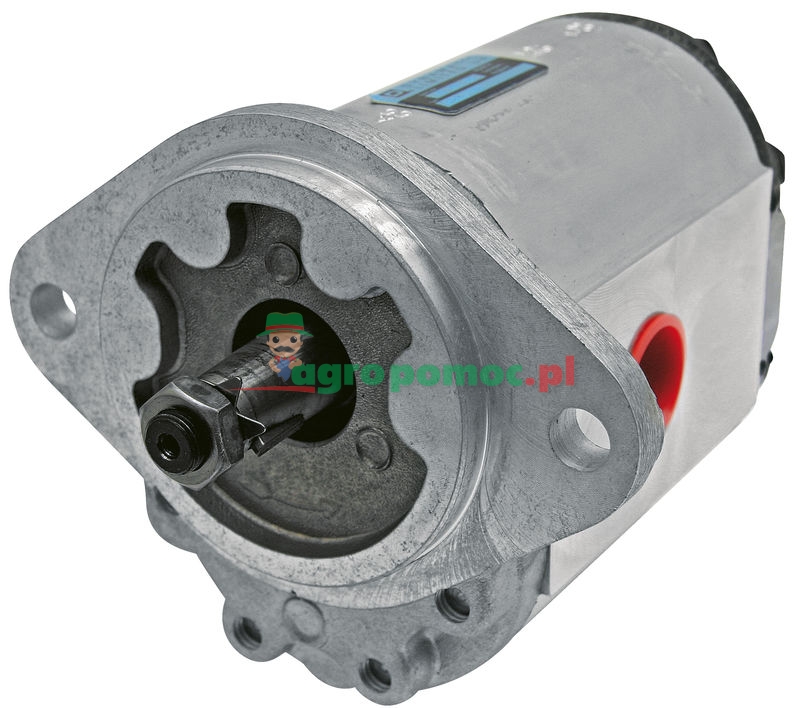 Single pump | zdjęcie nr 1