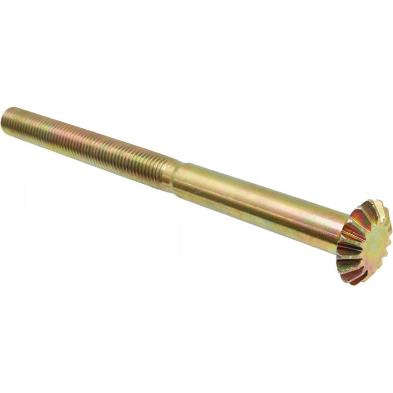 Spindle | zdjęcie nr 1