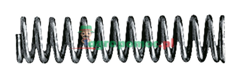 Spring 50-250 bar | zdjęcie nr 1