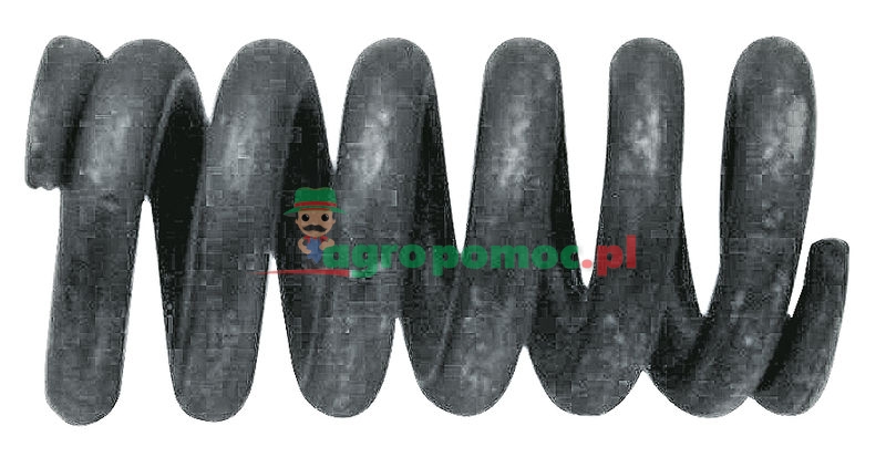 Spring | 80322270 | zdjęcie nr 1