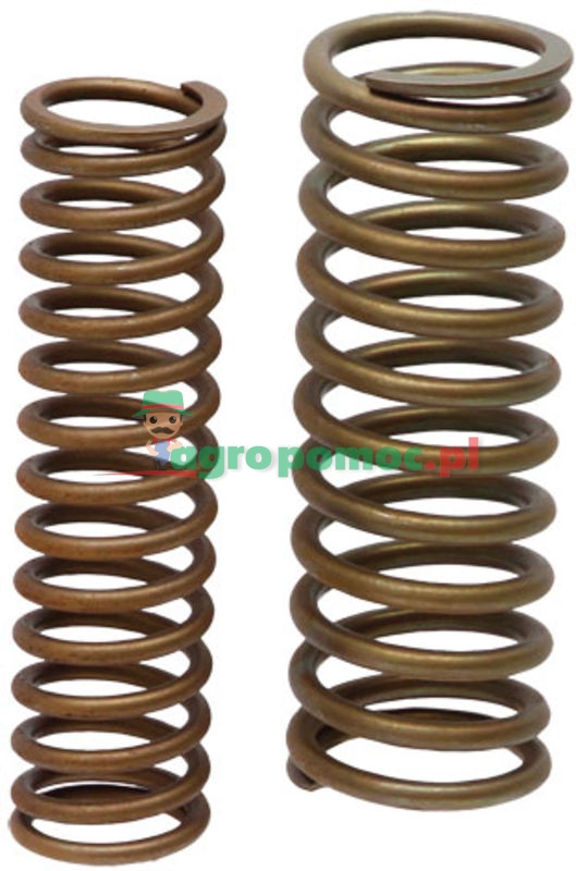 Spring set | 0113843 | zdjęcie nr 1