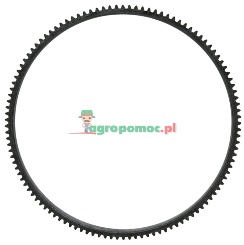 Starter ring gear | 3819719M1, 731008M1 | zdjęcie nr 1