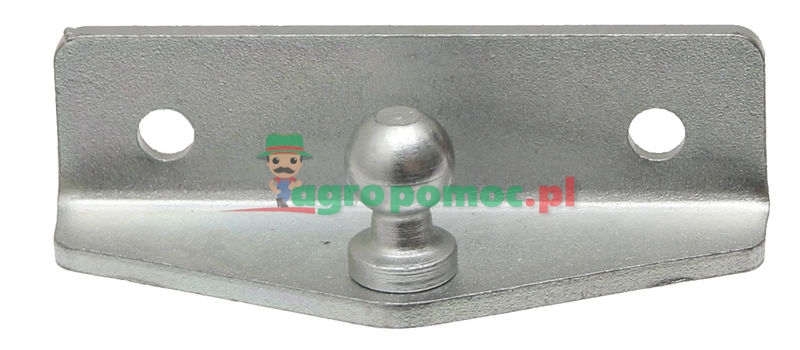 Striker | zdjęcie nr 1