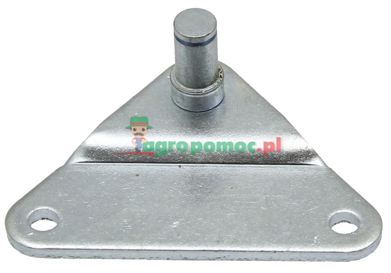 Striker | zdjęcie nr 1