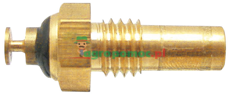 Temperature sender | zdjęcie nr 1