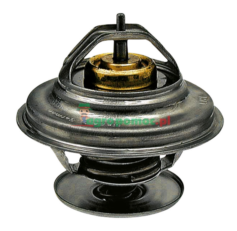 Thermostat | 162000060702 | zdjęcie nr 1