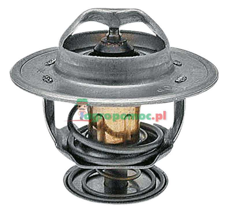 Thermostat | 02100192, 02300056 | zdjęcie nr 1