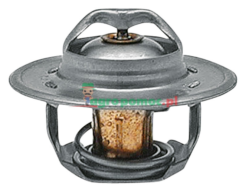 Thermostat | 83913835 | zdjęcie nr 1