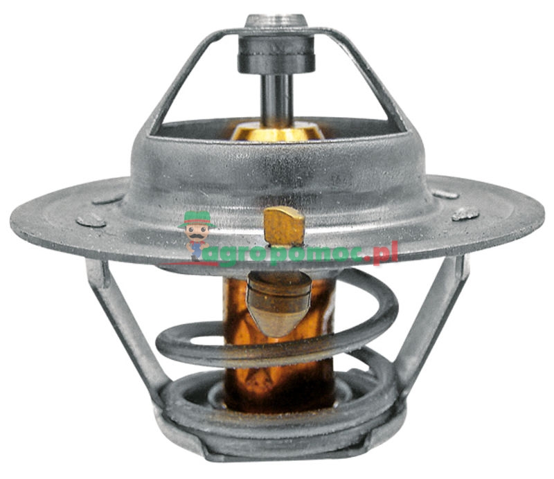 Thermostat | 6005012123 | zdjęcie nr 1