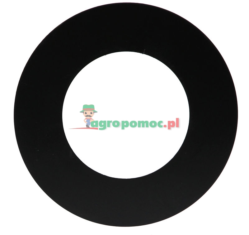 Thrust washer | R117820 | zdjęcie nr 1