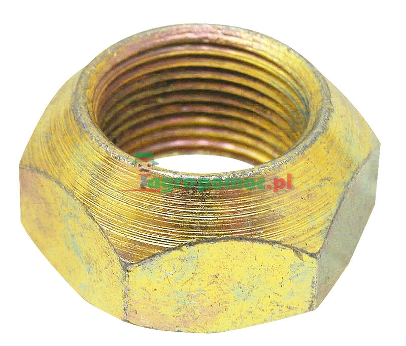 Tine nut | zdjęcie nr 1