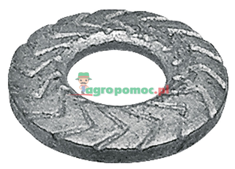 Toothed lock washer | 00370515 | zdjęcie nr 1