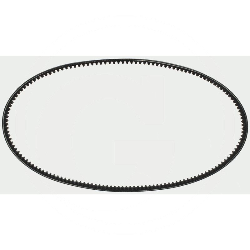 V-belt | 1111-9051-01, 1151-0128-01 | zdjęcie nr 1