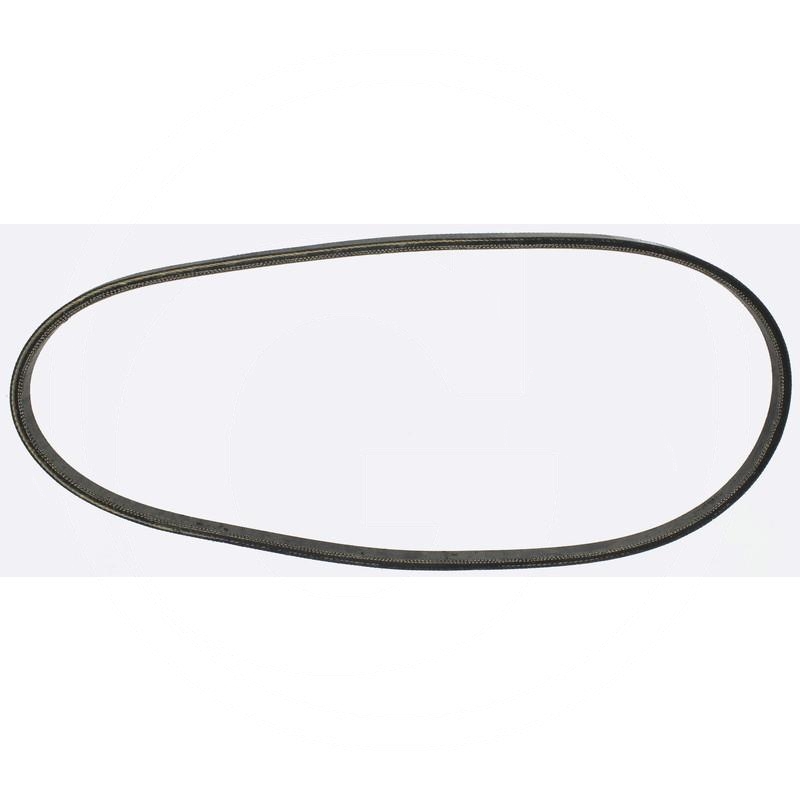 V-belt | 754-04176 | zdjęcie nr 1