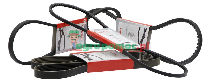 V-belt | X696624100000 | zdjęcie nr 1