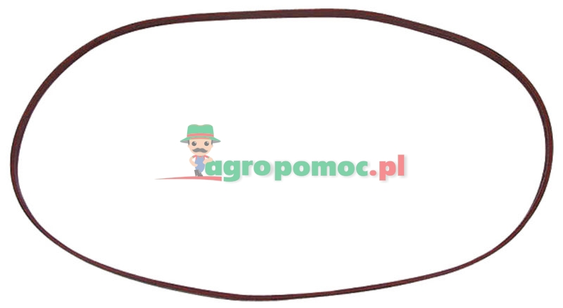 Valve cover gasket | 4845137, 4783242 | zdjęcie nr 1