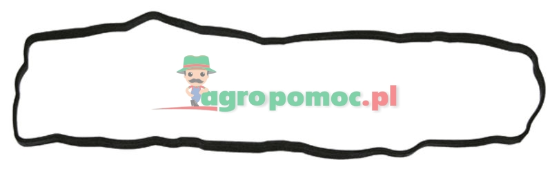 Valve cover gasket | 4899228 | zdjęcie nr 1