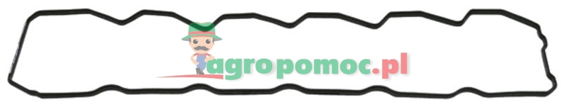 Valve cover gasket | 4899226 | zdjęcie nr 1