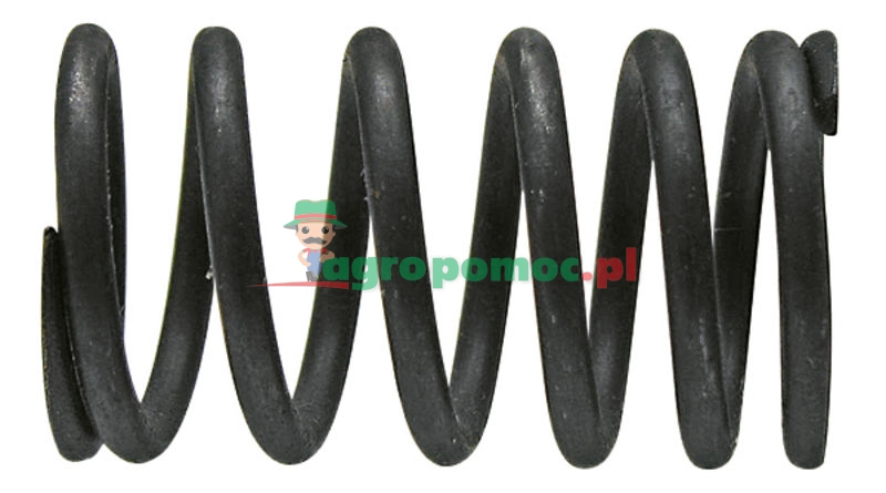Valve spring | 03669305 | zdjęcie nr 1
