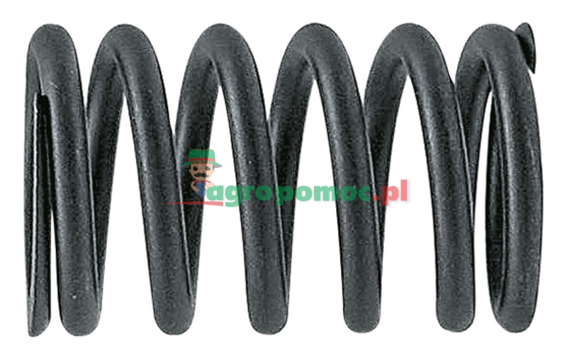 Valve spring | R91822, R91732 | zdjęcie nr 1
