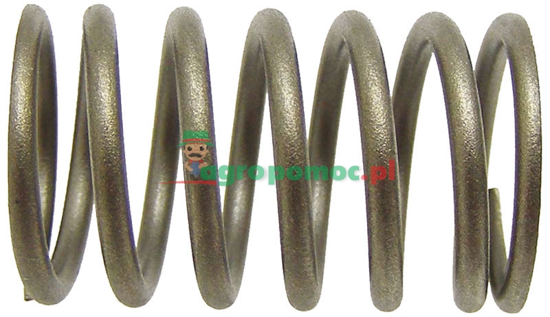Valve spring | 731153M1 | zdjęcie nr 1