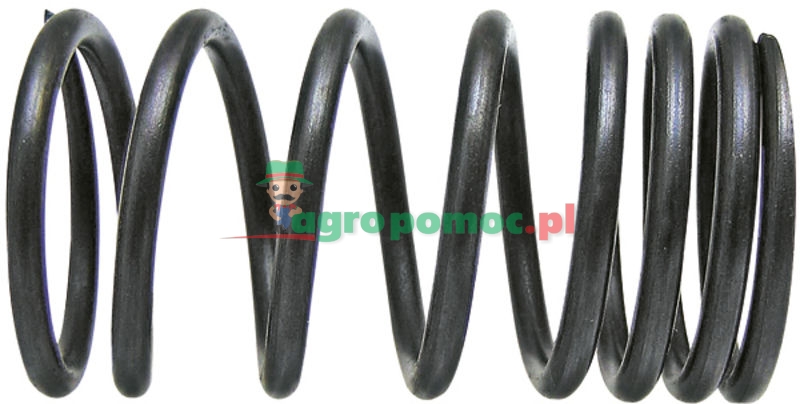 Valve spring | 735521M1 | zdjęcie nr 1