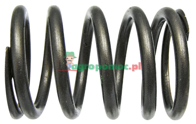 Valve spring | 4030530120 | zdjęcie nr 1