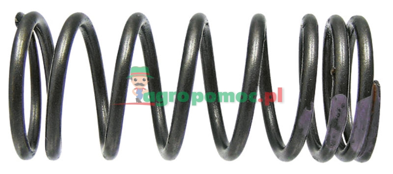Valve spring | 4030530622 | zdjęcie nr 1