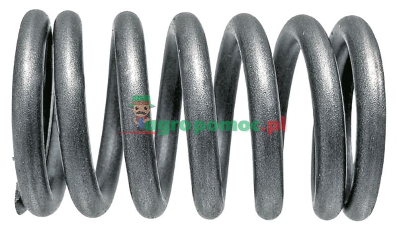 Valve spring | 81717773 | zdjęcie nr 1