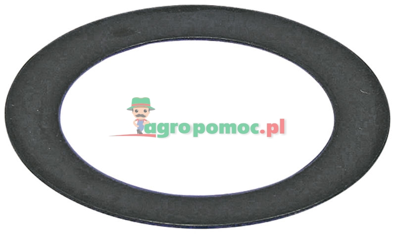 washer | 6000103093 | zdjęcie nr 1