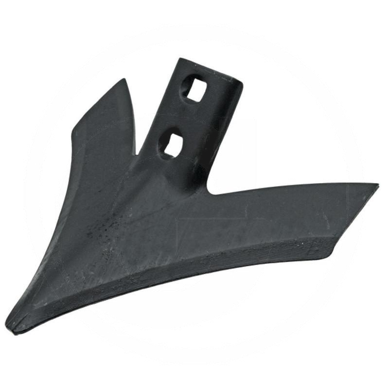 Wing share | zdjęcie nr 1