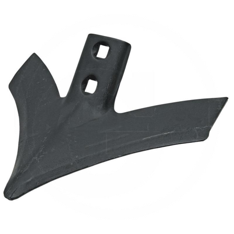 Wing share | zdjęcie nr 1