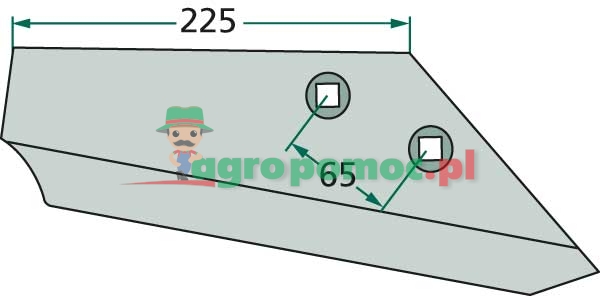 Wing share | 87112141 | zdjęcie nr 1