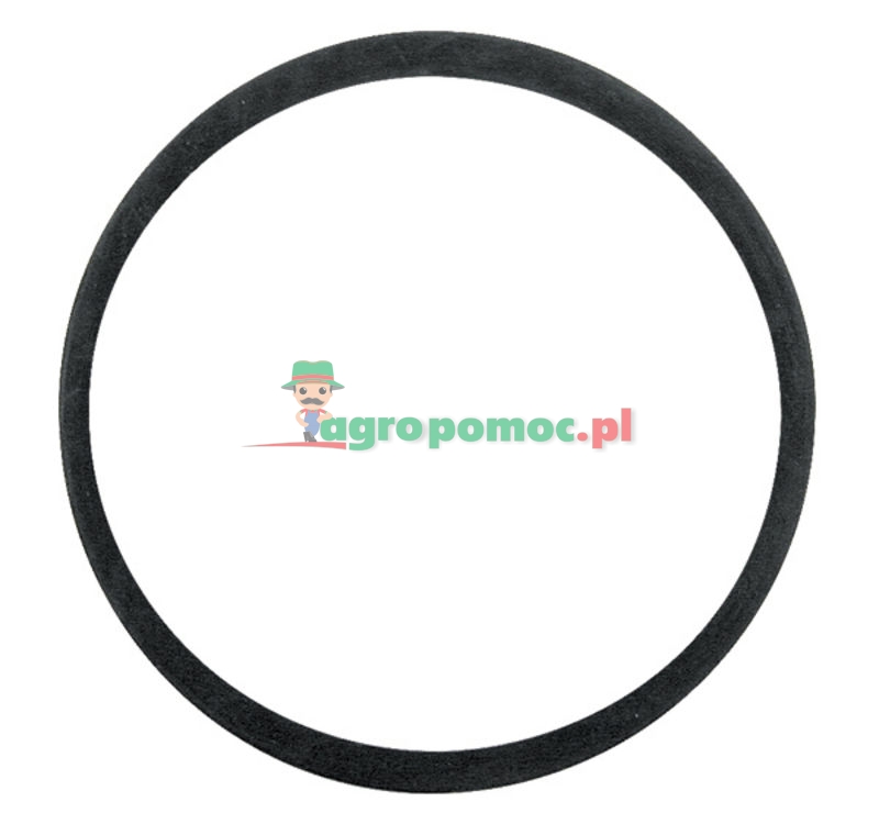Amazone Valve sealing ring | 7016200 | zdjęcie nr 1