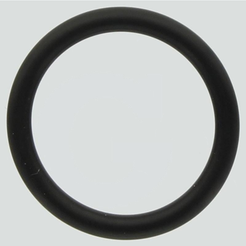 Annovi Reverberi O-ring | zdjęcie nr 1