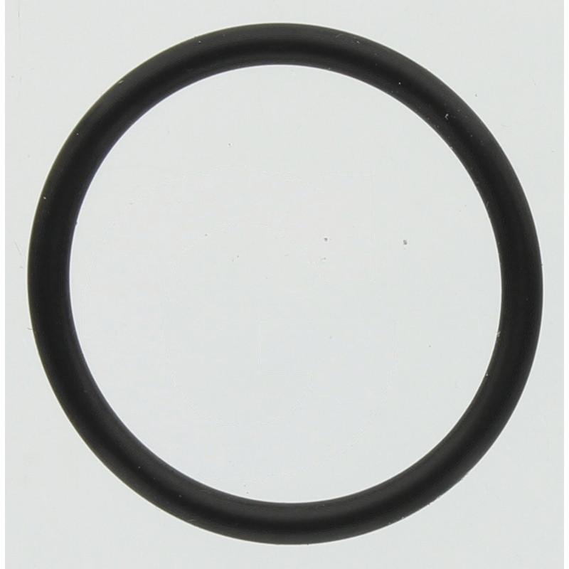 Annovi Reverberi O-ring | zdjęcie nr 1