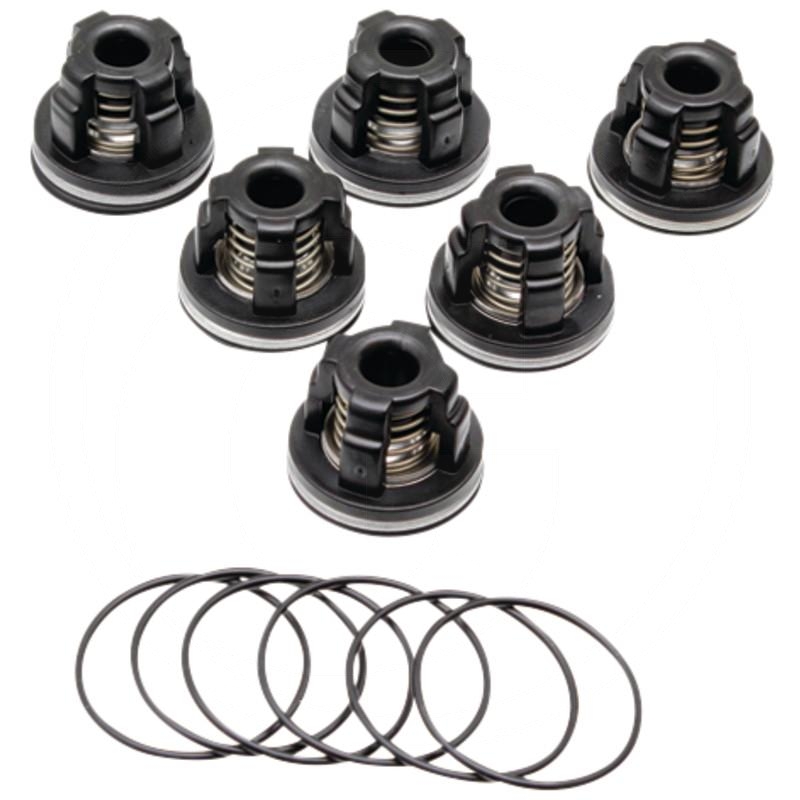 Annovi Reverberi Valve set | zdjęcie nr 1