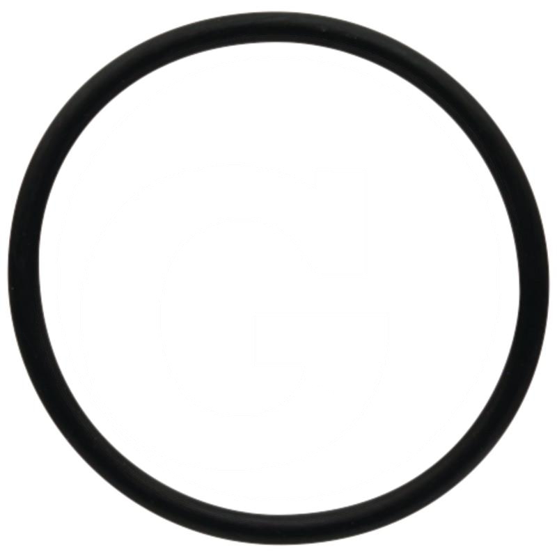 ARAG O-ring | zdjęcie nr 1