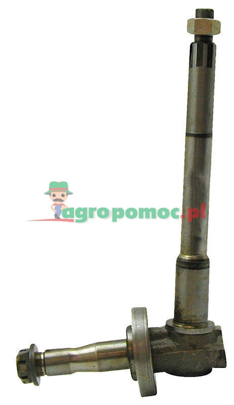 Belarus Steering knuckle | 70-3001065 | zdjęcie nr 1