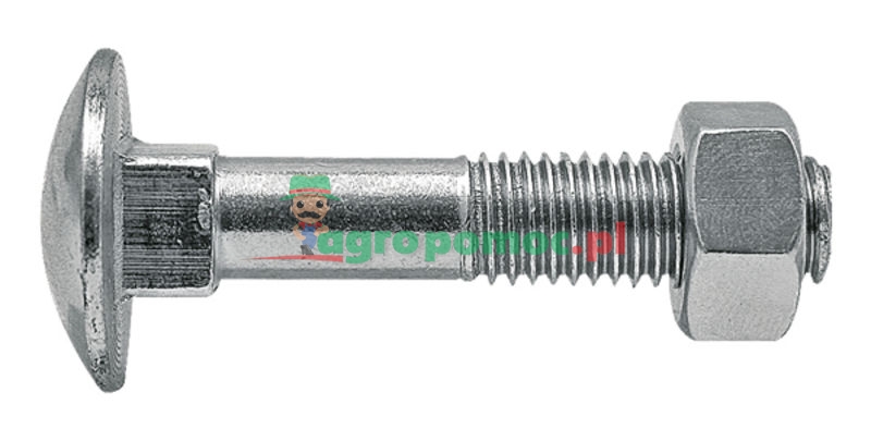 Blister Carriage bolt | zdjęcie nr 1